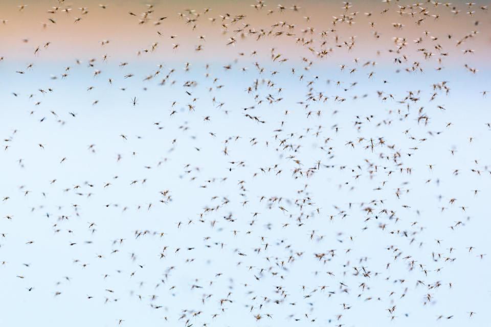 NINTCHDBPICT000414313710