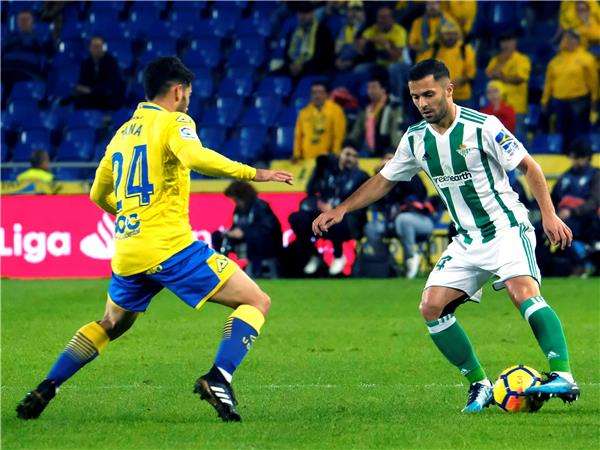 رضا دورميزي