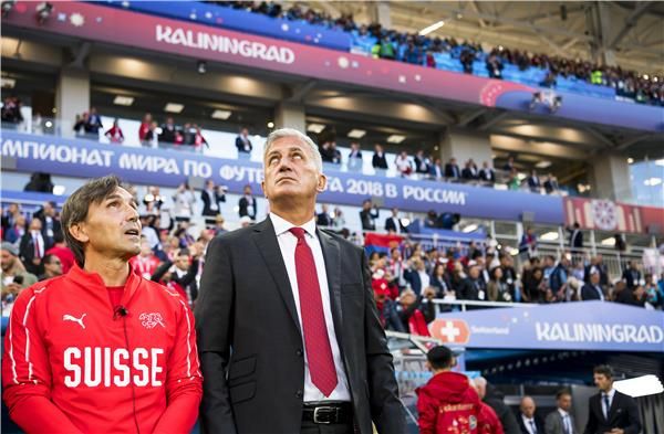 فلاديمير بيتكوفيتش