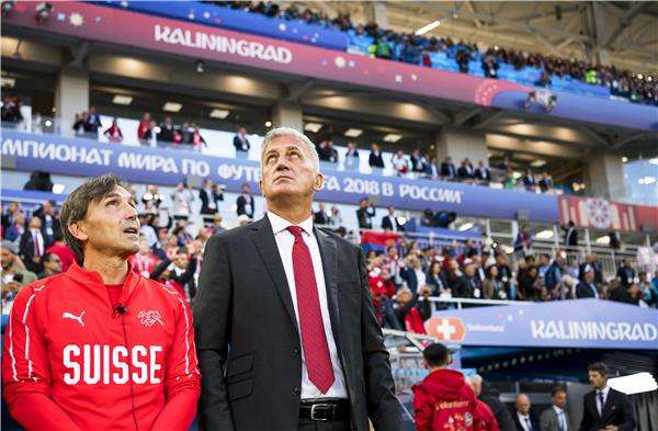 فلاديمير بيتكوفيتش