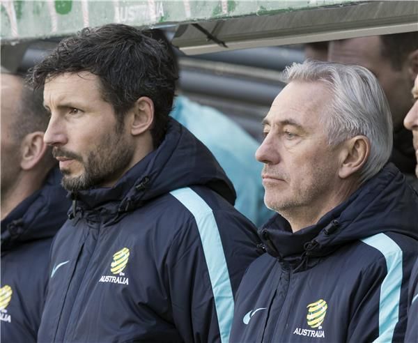 فان بوميل ومارفيك