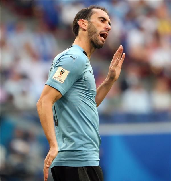 دييجو جودين