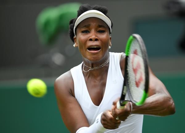 فينوس ويليامز