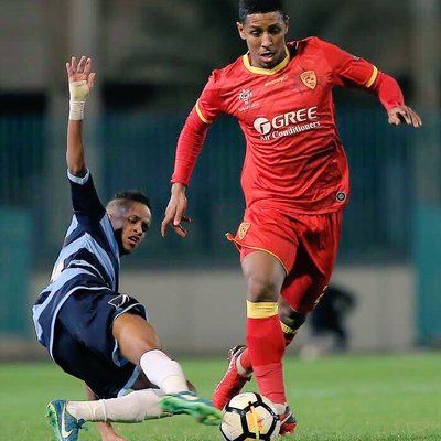 حمد الجيزاني