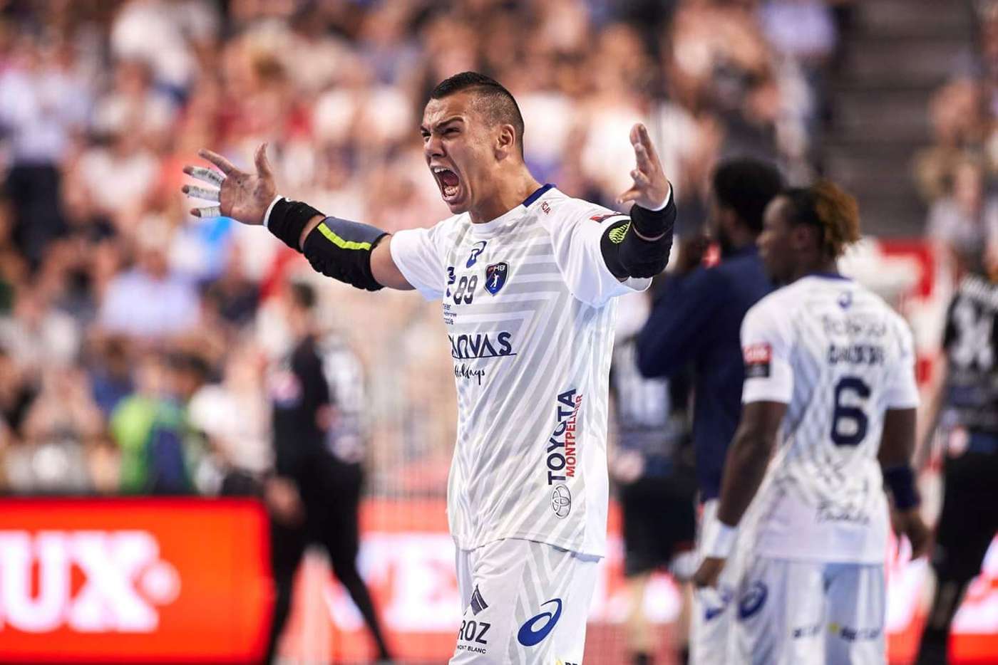 محمد ممدوح هاشم