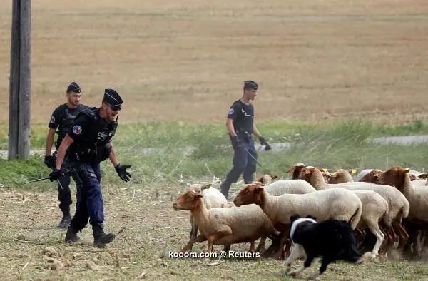 ?i=reuters%2f2018-07-24%2f2018-07-24t112243z_886483343_rc16c47c8970_rtrmadp_3_cycling-france_reuters