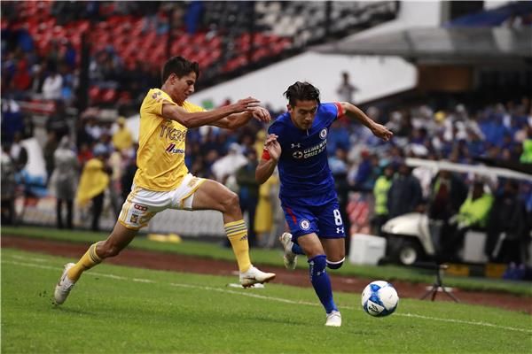 جانب من لقاء كروز أزول وتيجريس أونال