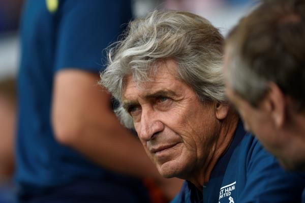 مانويل بليجريني