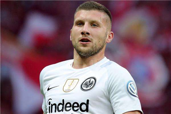 أنتي ريبيتش