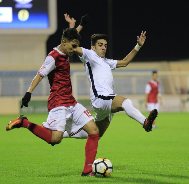 حسن الصولان