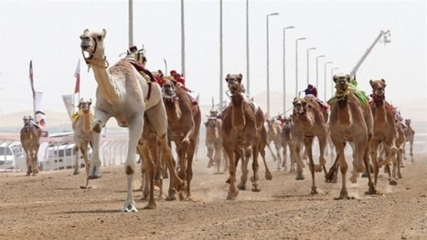أرشيفية