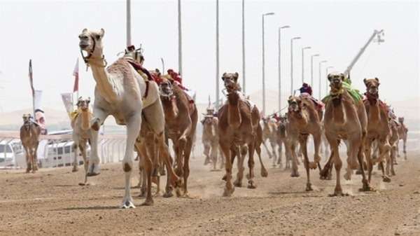 أرشيفية