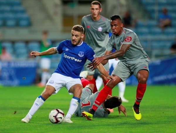 فالسيتش