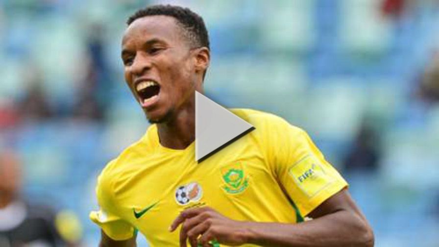 لاعب صن داونز