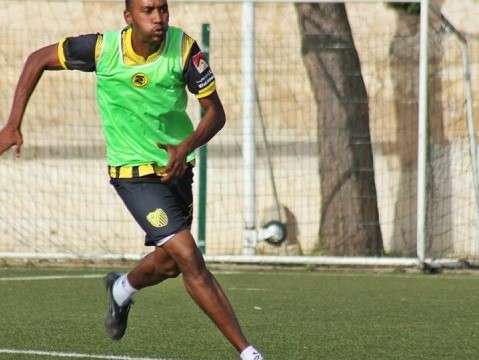 عمر النمساوي