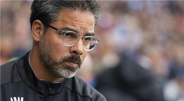 ديفيد فاجنر