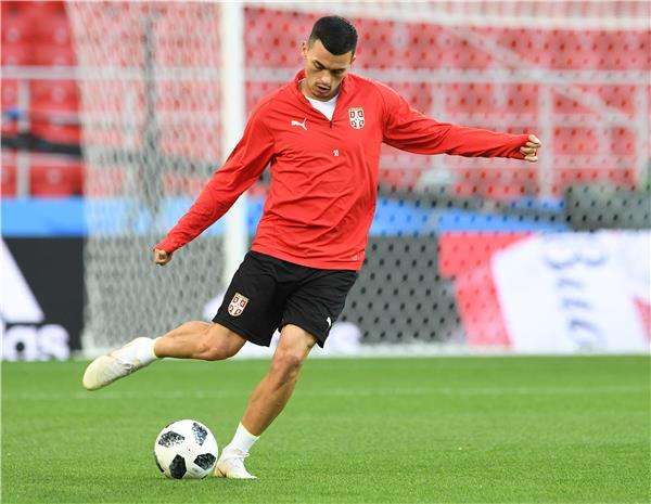  نيمانيا رادونيتش 