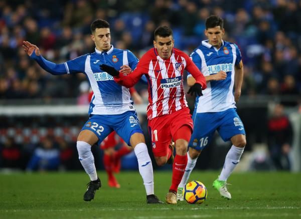 هيرموسو (يسار)