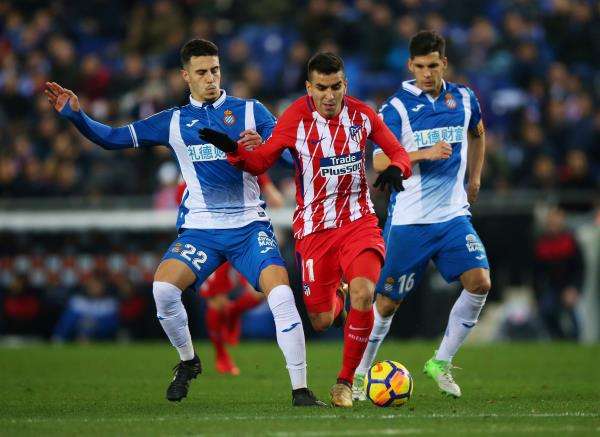 هيرموسو (يسار)