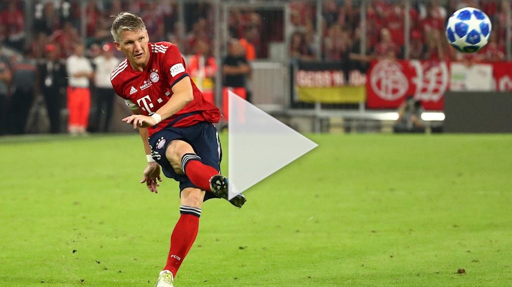 شفاينشتايجر