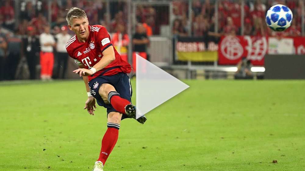 شفاينشتايجر