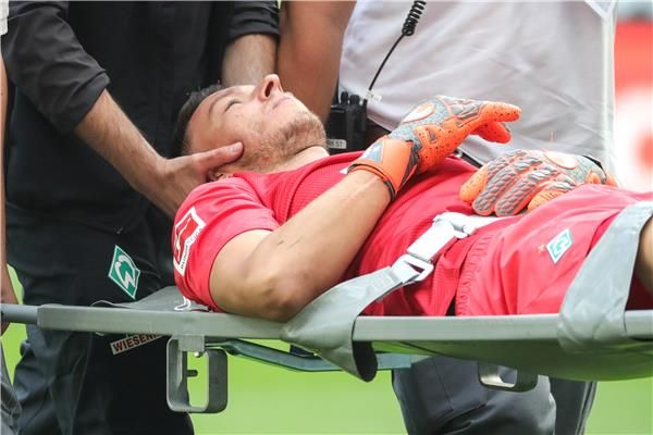 يري بافلينكا