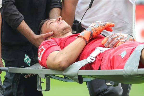 يري بافلينكا