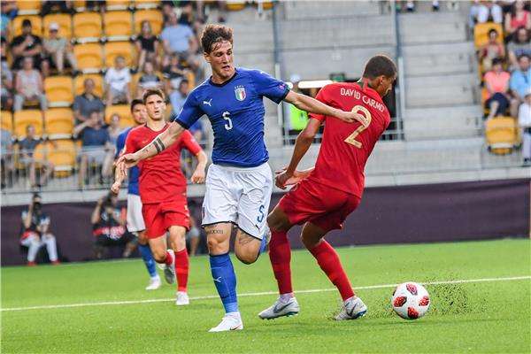 نيكولو زانيولو