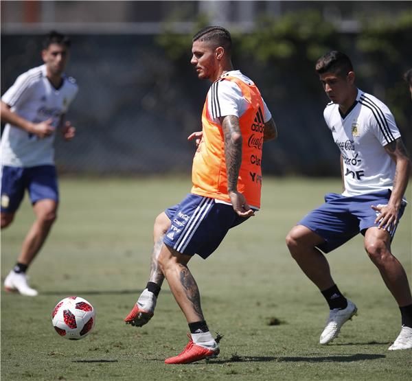  ماورو إيكاردي