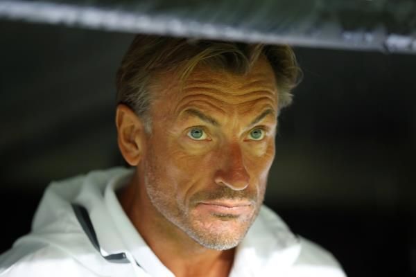 هيرفي رينارد 