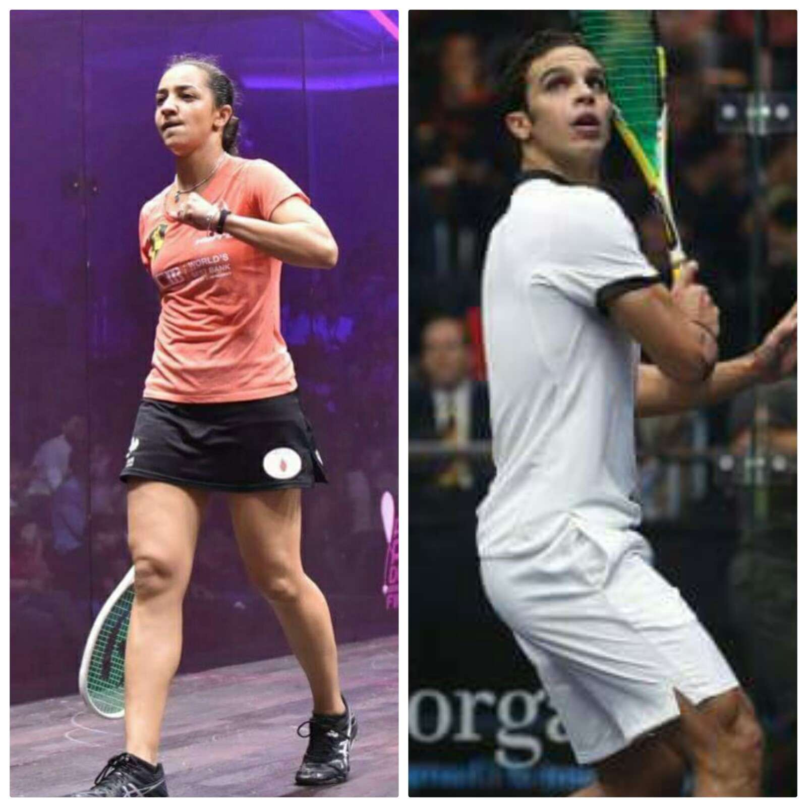 أبو الغار ورنيم الوليلي