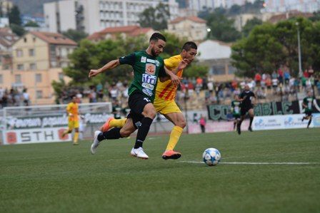 photo_article_Articlen-597