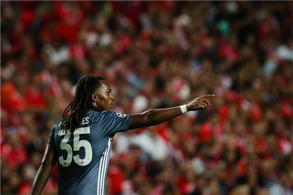  ريناتو سانشيز