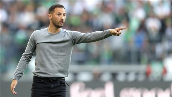 دومينيكو تيديسكو 