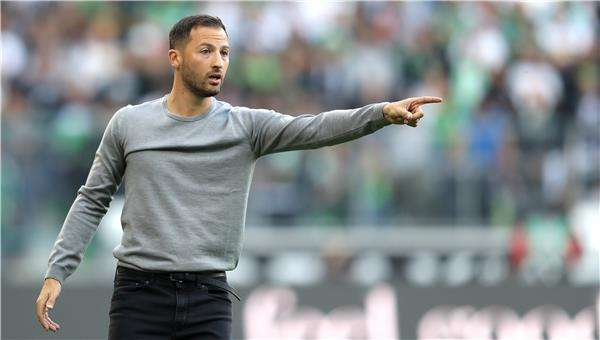 دومينيكو تيديسكو 