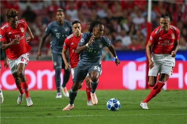  ريناتو سانشيز