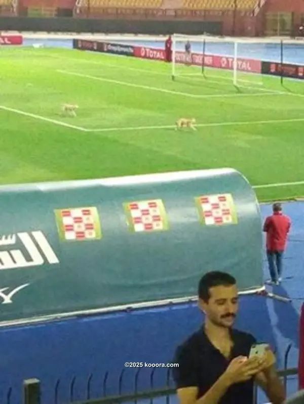 ?i=corr%2f70%2fkoo_70834