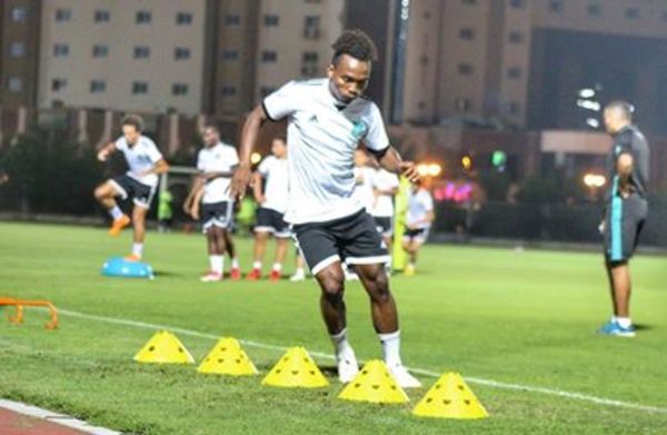  باولن فوافي