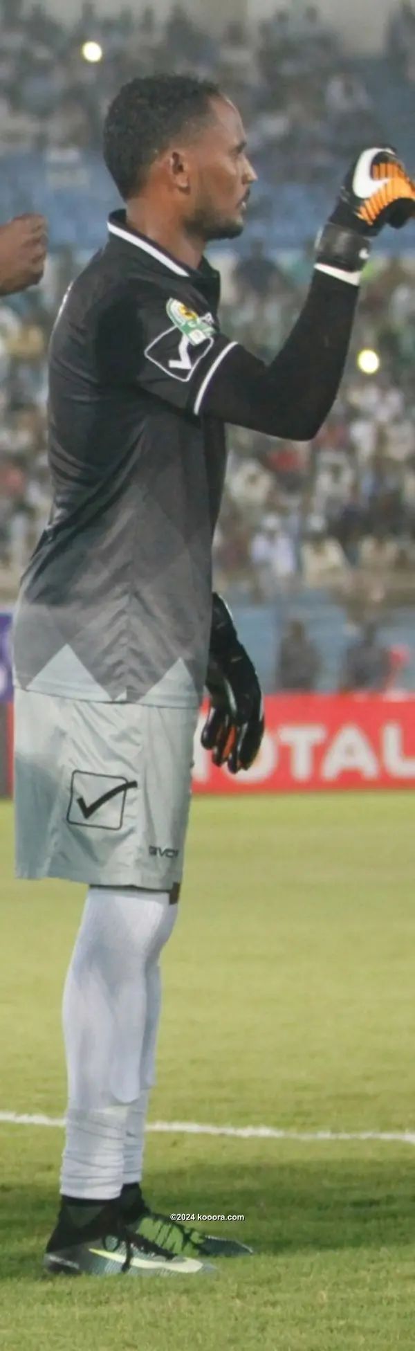 ?i=corr%2f73%2fkoo_73160