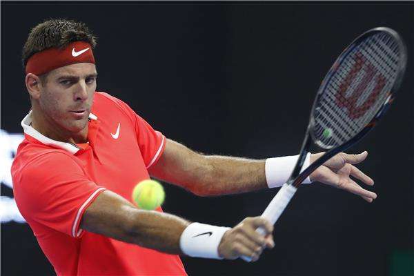 خوان مارتن ديل بوترو