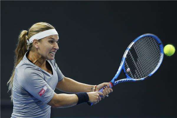 دومينيكا تسيبولكوفا