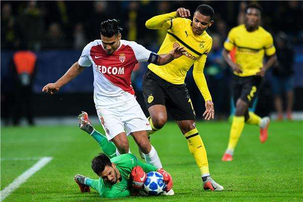 رادميل فالكاو