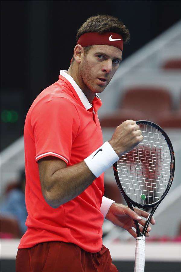 خوان مارتن ديل بوترو