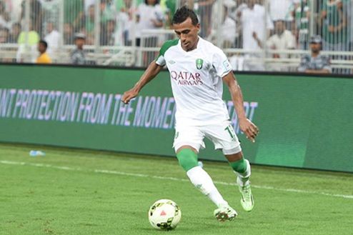 محمد عبد الشافي