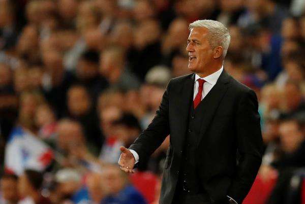 فلاديمير بيتكوفيتش