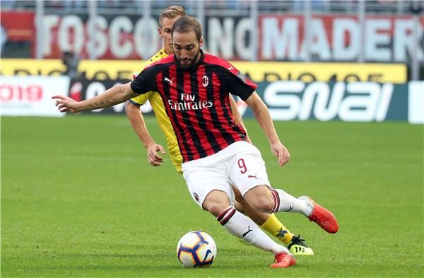 جونزالو هيجواين