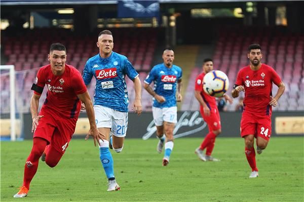 نيكولا ميلنكوفيتش