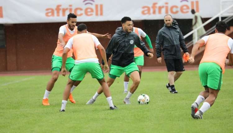 منتخب الجزائر