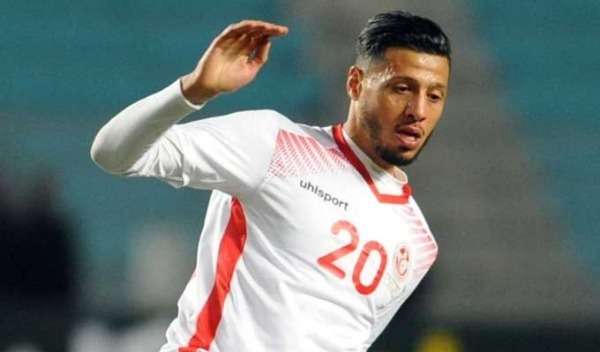 أنيس البدري