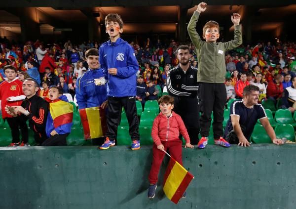جماهير منتخب إسبانيا 